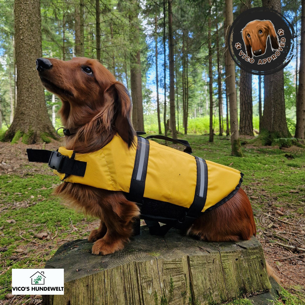 PawGuard Schwimmweste - Vico's Hundewelt ()