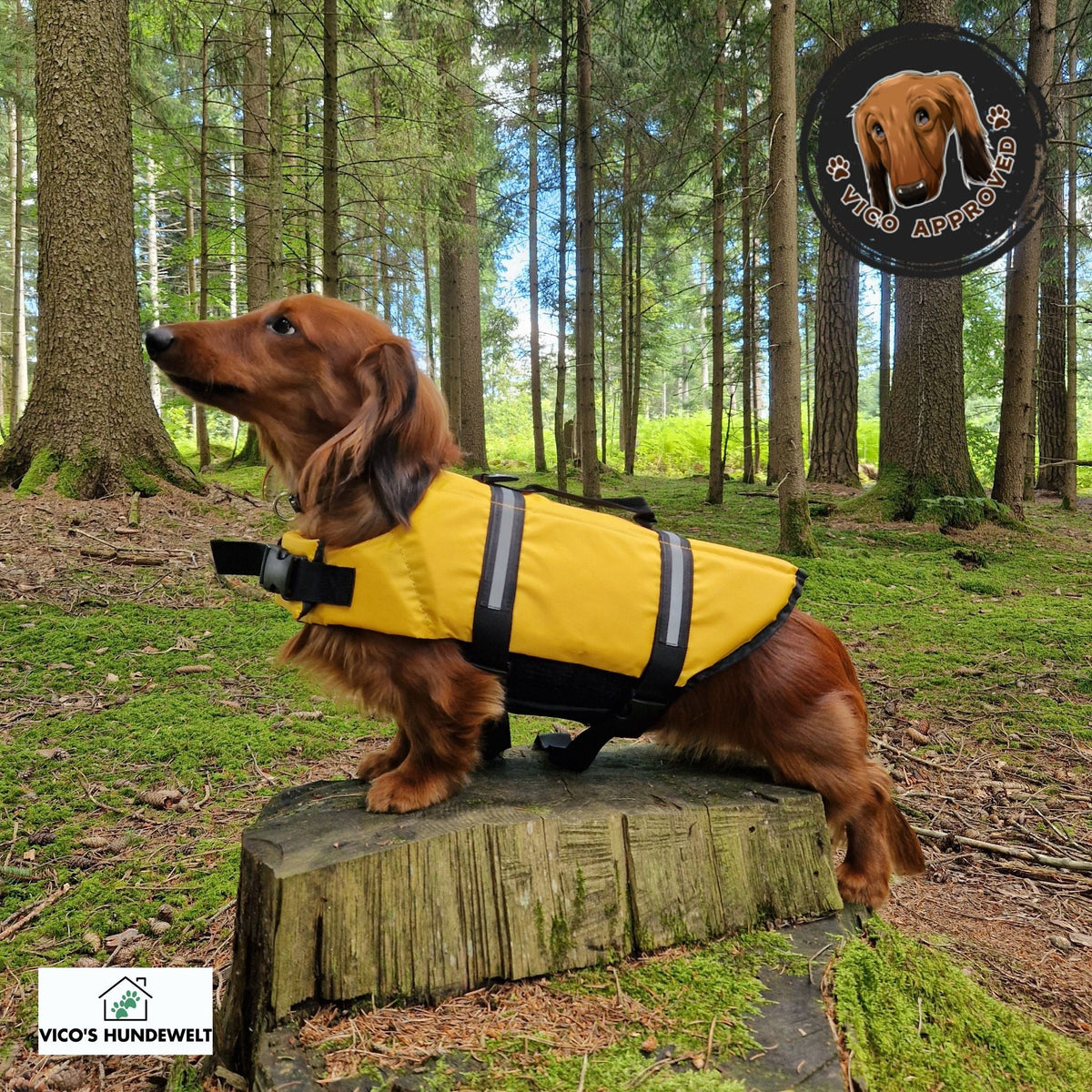 PawGuard Schwimmweste - Vico's Hundewelt ()