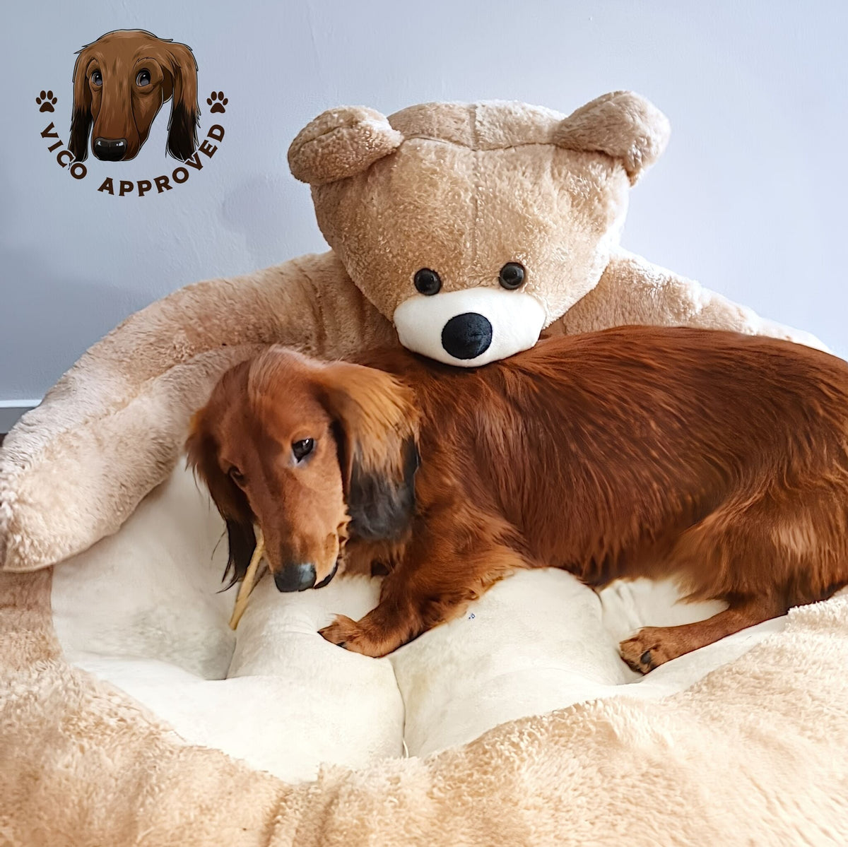 BearHug Dog Sofa - Vico's Hundewelt (7469726784091)