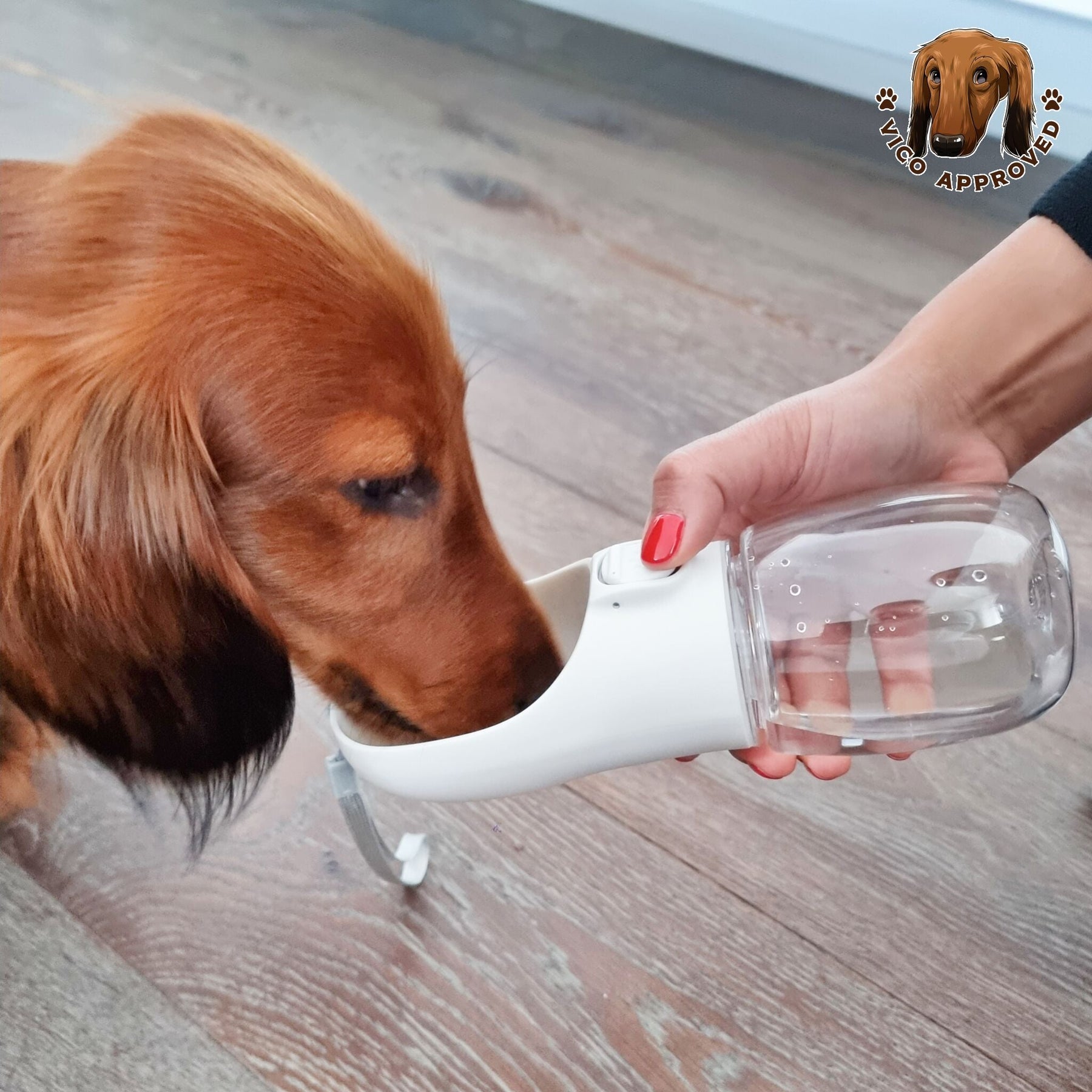 HydroPup - Tragbare Wasserflasche - Vico's Hundewelt (7469252395921)