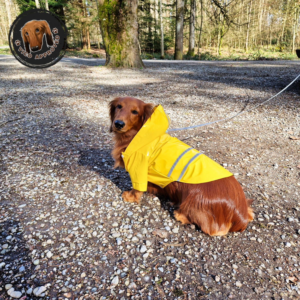 RainyPaws Poncho - Vico's Hundewelt (7449327463304)