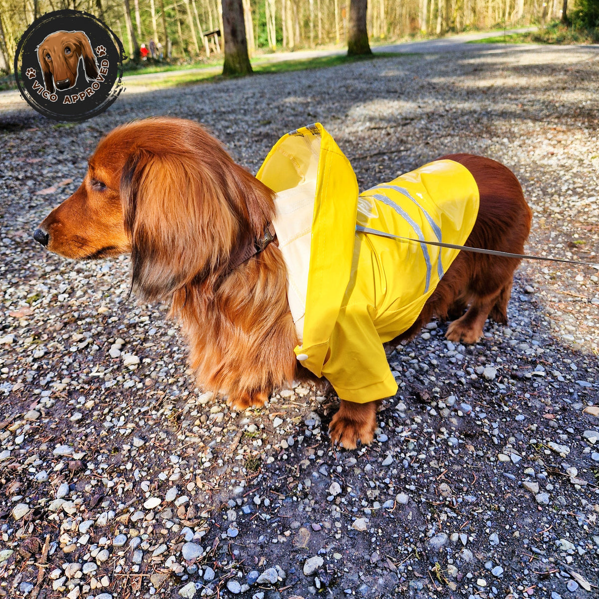 RainyPaws Poncho - Vico's Hundewelt (7449327463304)